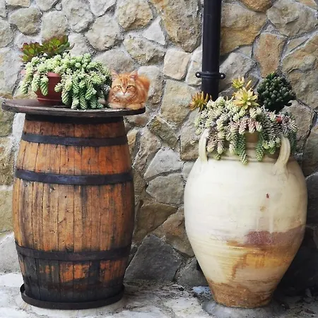 Hébergement de vacances Delizia Scopello (Sicily)
